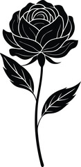 Single Flower and Bloom Illustration &ndash; Minimal Hand-Drawn Floral Art