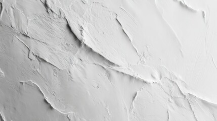 Obraz premium A monochromatic textured surface with raised overlapping layers, dynamic shading variations, conveying solitude,