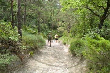 Obraz premium 자연 경관 녹색 들판 풍경