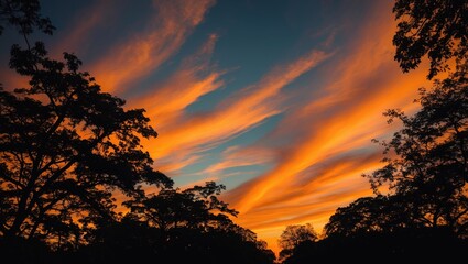 Vivid sunset sky with orange clouds and silhouetted trees at dusk