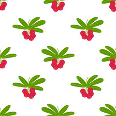 Seamless Pattern of Red Cranberries on White Background – Vector Illustration
