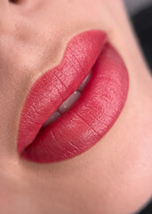 close-up of a woman's lips, permanent makeup	
Close-up view capturing the permanent lip makeup procedure, featuring a skilled beautician applying color pigment on the client's lips

