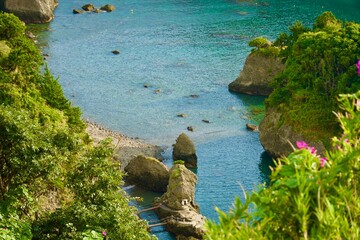 下田のヒリゾ浜の風景