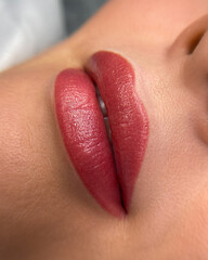 Close-up of full, well-defined lips with a matte pink lipstick. The skin tone is light and smooth, highlighting the lip color.
