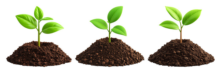 Three small, vibrant green seedlings, each growing from its own mound of rich, dark brown soil, set against a transparent background.