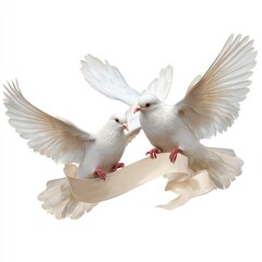 Obraz premium Two white doves in flight, wings outstretched, with a beige ribbon banner. A romantic image