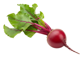 Vibrant red beet with green leaves on transparent background