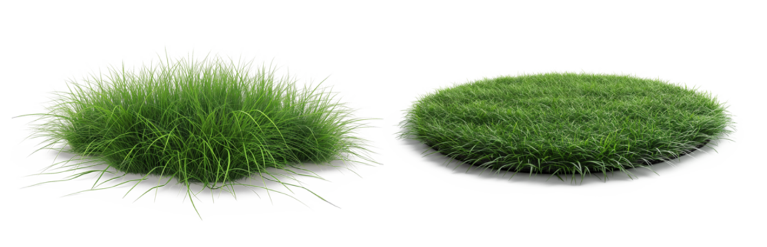 Green Grass Patch: A picturesque display of two separate vibrant, dense, circular patches of lush green grass, evoking a sense of freshness, environmental harmony and natural beauty.