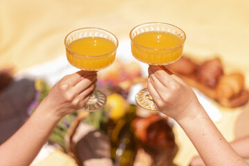 Two women seating on a picnic blanket, toasting with orange beverages in glasses. A basket featuring flowers, baguette, and wine. Friendship, outdoor leisure, summer celebrations concept