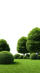 Lush greenery landscaping scene,  isolated on white.  Dense shrubs and trees, manicured lawn.  A tranquil,  outdoor setting