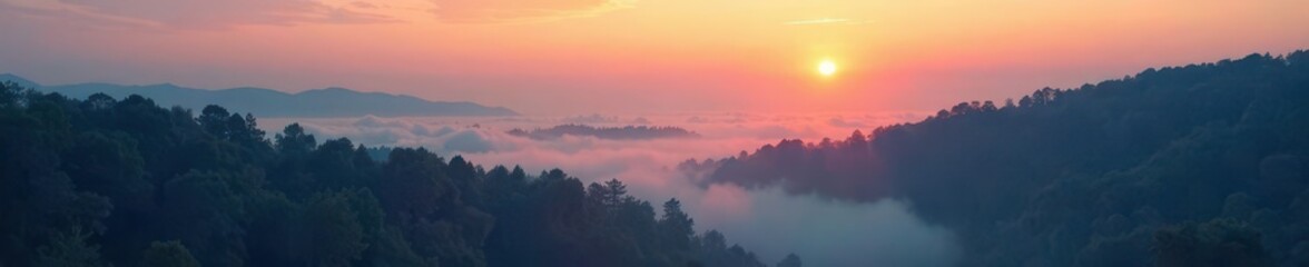 Fototapeta premium Gradient dawn over a forest with misty atmosphere, peaceful moments, morning ambiance