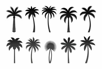 Fototapeta premium A stunning collection of ten unique palm tree silhouettes, showcasing diverse shapes and styles perfect for tropical-themed designs or summer ambiance in your projects.