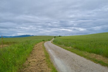 자연 경관 녹색 들판 풍경