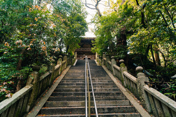 shikoku, JAPAN - may 2 2025 No.52 Taisanji Temple, in the Shikoku Pilgrimage