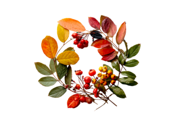 Colorful autumn wreath with leaves and berries