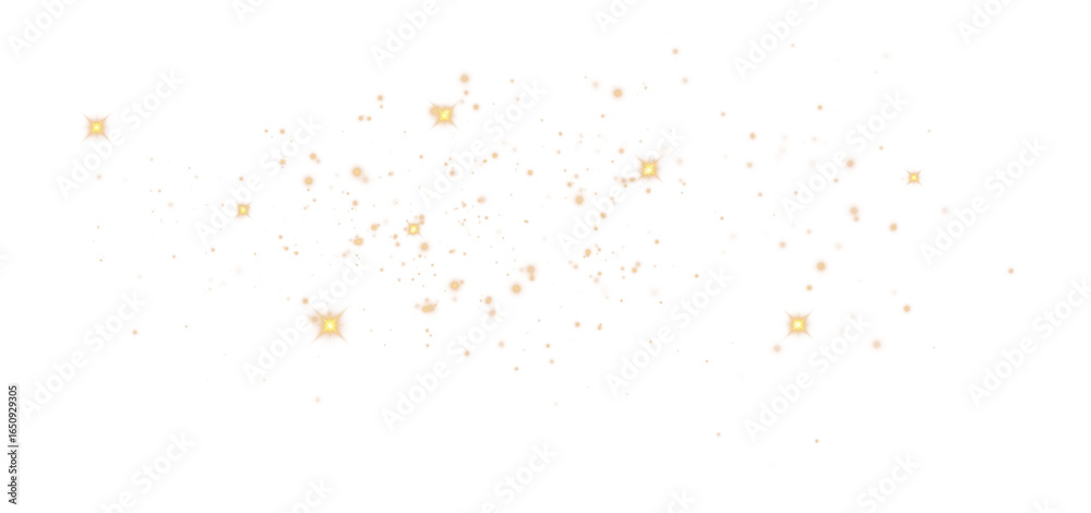 Canvas Prints glitter particles with transparency. bokeh background. shining stars png isolated