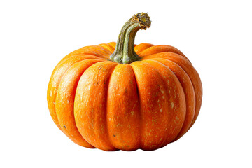 Ridged orange pumpkin on display