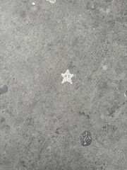 a little cute white star graffiti painted on the street sidewalk  
