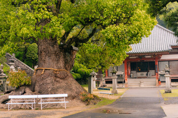 shikoku, JAPAN - may 2 2025 Jinne-in Temple No. 68 in the Shikoku Pilgrimage