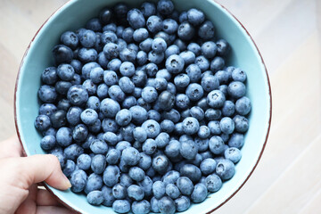 Fresh ripe blueberries in a light blue ceramic bowl on a wooden surface