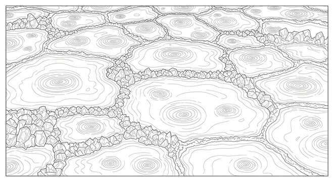 Black and White Topographic Map of Contour Lines and Elevation Patterns