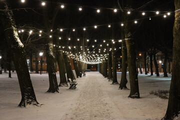 people walking in the city