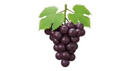 Ripe grape cluster with green leaves isolated on white background, close up