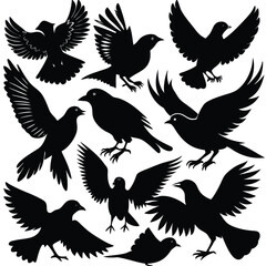 Obraz premium Silhouette Bird Collection: 12 Blackbird Poses for Design Projects
