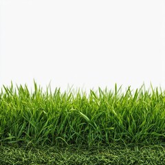Obraz premium Close-up of vibrant green grass against a white background