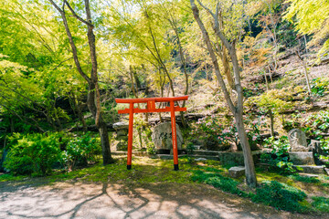 shikoku, JAPAN - may 2 2025 No.58 Senyuji Temple, red gate