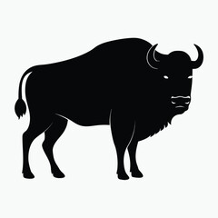 Bison Silhouette Black Vector Wild Animal Outline Illustration