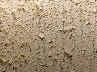 Macro texture of cracked beige plaster wall surface