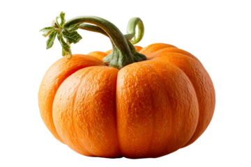 Vibrant orange pumpkin with green stem displayed