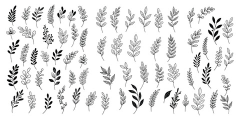 Botanical leaves collection, flat vector illustration. Hand-drawn foliage and floral branches set for decorative design, invitations, patterns, natural themes, and elegant minimal artwork.