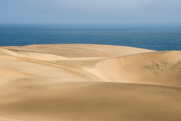 Namib-Naukluft National Park where the desert meets the ocean