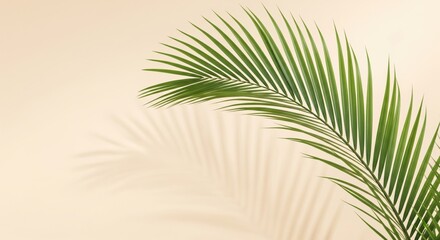 Green palm leaf with a soft shadow on a beige wall