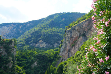 Varone Nature Park in Italy, landscape with gorges and wooded mountains and oleander plants
