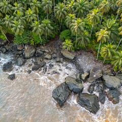 Rocky shoreline of São Tomé with waves crashing below a dense grove of tall tropical palm trees.
