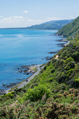 ニュージーランド　パエカカリキ・エスカープメント・トラックから見える風景とタスマン海