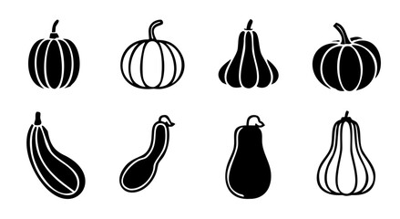 Collection of diverse winter squash varieties illustrated in black and white silhouette style