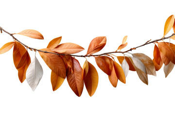 Vibrant autumn leaves on transparent bg