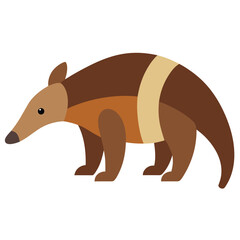 red fox on a white background