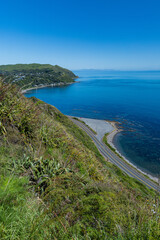 ニュージーランド　パエカカリキ・エスカープメント・トラックから見える風景とタスマン海
