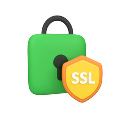 SSL Web Security isolated 3d render icon illustration