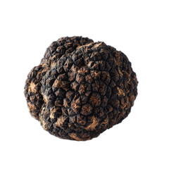 Small black and brown nut with a round shape