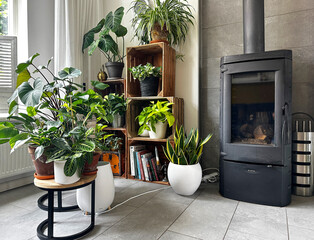 Modern living room with flowers.  Cozy interior with houseplants and a fireplace. Wooden crates are...