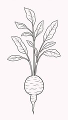 A minimalist black linear sketch portrays a carrot vegetable in one continuous line art drawing style growing within a simplified carrot plant