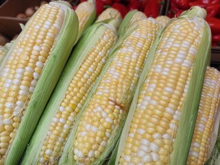 Corn texture. Corn cobs