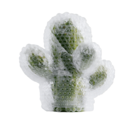 A minimalist 3D render of a cactus, completely wrapped in protective bubble wrap, is isolated on a transparent background.
