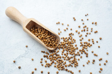 wooden scoop with coriander seeds on white background